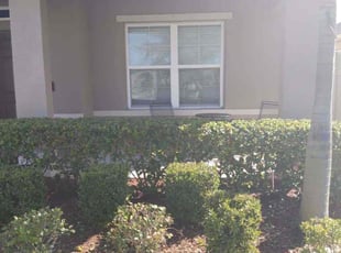 Bush Trimming by Mark Daley for Courtney S. in Palm Bay, FL