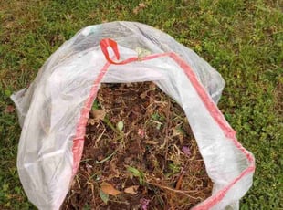 Weeding by Anthony Beamon for Deitre S. in Chesapeake, VA