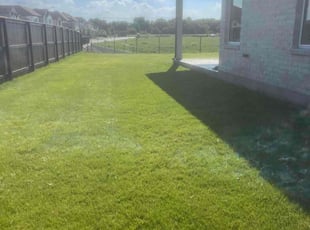 Nicole M.'s Lawn Maintenance service result