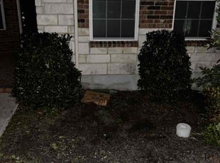Bush Trimming by Rahiem Hardy for Marva M. in San Antonio, TX