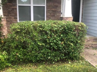 Bush Trimming by Erick G for Kathryn G. in Holly Springs, NC