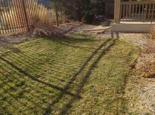 Leaf Removal by Johnny Hines for Calvin S. in Aurora, CO