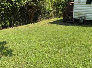 Bush Trimming by Bessie Carter for Jasmine M. in Hillsborough, NC