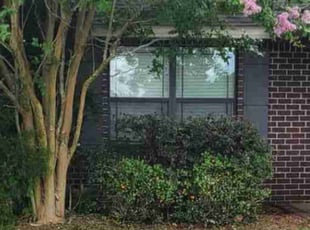 Bush Trimming by Shawn Mcdonald for Alicia H. in Pace, FL