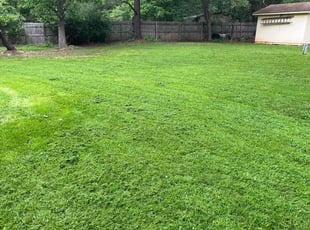 June R.'s Lawn Mowing service result