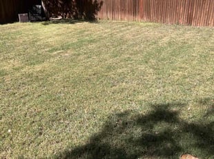 Terrie C.'s Lawn Maintenance service result