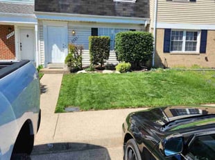 Weeding by Mark Burke for Oscar G. in Manassas, VA