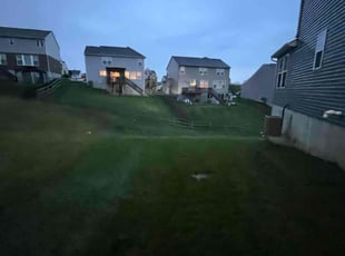 Sharon J.'s Yard Cutting service result