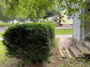 Cleanups by Mitch Melum for Laura B. in Madison, WI