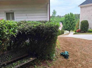 Bush Trimming by Marsha Cooper for Ginger H. in Lawrenceville, GA
