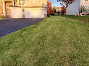 Leaf Removal by John Lyles for Yemi A. in Woodbury, MN
