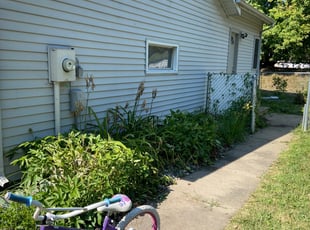 Bush Trimming by Greg Livingston for Myra M. in Maple Grove, MN