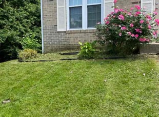 Weeding by Jason Scott for Martin R. in Silver Spring, MD