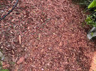 Weeding by Marcus Simon for Courtney S. in Baton Rouge, LA