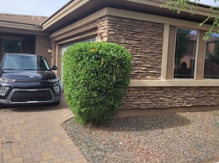 Bush Trimming by Raul Blanco for Ivis V. in Gilbert, AZ