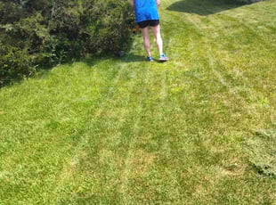 Karolyn B.'s Lawn Mowing Service service result