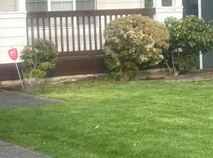 Bush Trimming by Kurian Jones-Fryberg for Sophia M. in Lake Stevens, WA
