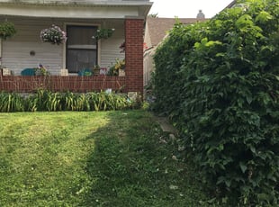 Bush Trimming by Brandon ABRAM for Bridget R. in Kansas City, KS