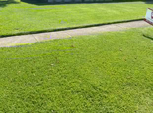 Cleanups by Carl George for Deborah S. in Baton Rouge, LA