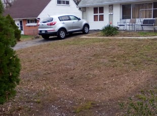 Leaf Removal by Arthur Haskins for Elizabeth G. in Richmond, VA