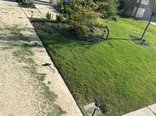 Lorien B.'s Cleanups service result
