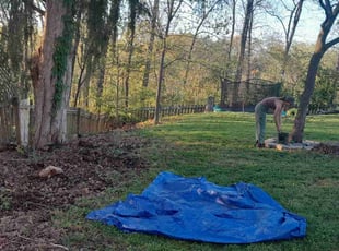 Cleanups by Alec Lowe for Judith C. in Imperial, MO