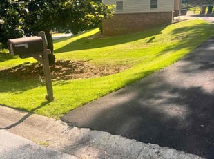 diane g.'s Lawn Mowing service result