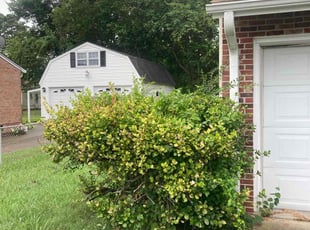 Bush Trimming by DeShawn Piggee for Nicole L. in Hampton, VA