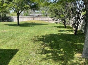 Harvey S.'s Yard Cutting service result