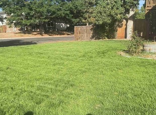 Shiv K.'s Lawn Maintenance service result