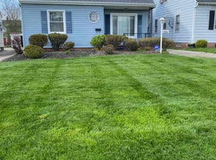 Laverne M.'s Yard Cutting service result