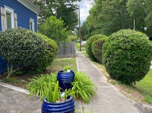 Bush Trimming by William Tanner for Mark G. in Villa Rica, GA