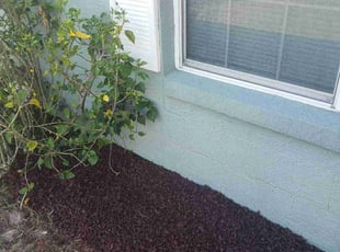 Mulching by Jorge Agosto for Viola R. in Deltona, FL