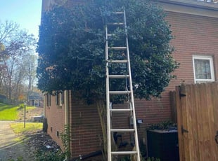 Bush Trimming by Adam Kersey for Joyce M. in Charlotte, NC