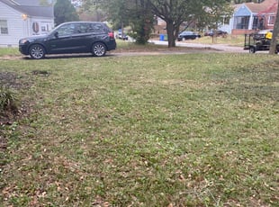 Leaf Removal by Andrew Carr for Greg G. in Atlanta, GA