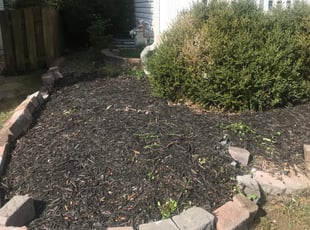 Weeding by Jose Sanchez for Dwayne K. in Geneva, IL