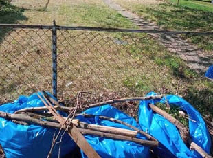 Cleanups by Carvell Smith for Isaiah M. in Baltimore, MD