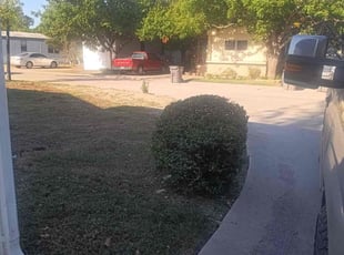 Bush Trimming by Brian Orozco for Don A. in Wylie, TX