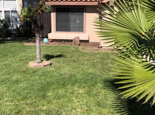 Austin W.'s Yard Cutting service result