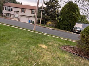 Leaf Removal by Ruben Fox for brenden c. in Bristol, CT