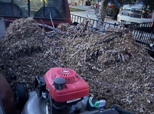 Leaf Removal by Nick Steidl for Deonna C. in Colorado Springs, CO