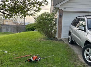 Bush Trimming by Eugenio Cuenca for Nikki H. in Greenwood, IN
