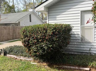 Bush Trimming by Jonathan Jones for Akeem C. in Covington, LA
