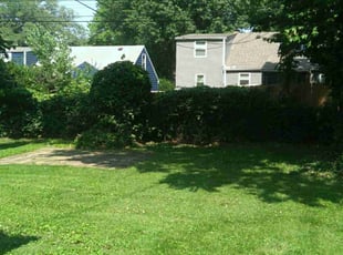Bush Trimming by Julio Almestica for Nellie M. M. in Kansas City, MO