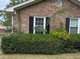 Bush Trimming by Jake Beerman for Michael G. in Franklin, TN