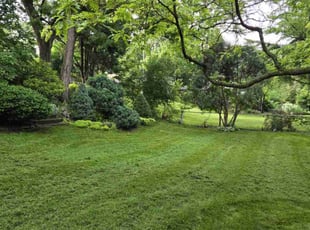 Deb K.'s Lawn Mowing service result