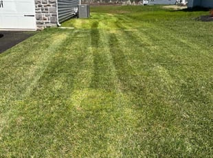 Moses J.'s Lawn Care service result