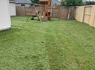 Steve H.'s Yard Cutting service result