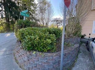 Bush Trimming by Bradley Whittaker for Jacki C. in Lynnwood, WA