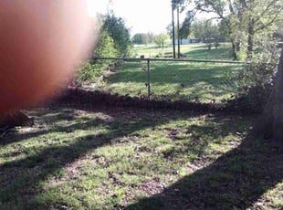 Leaf Removal by Amy Delarosa for Linda K. in Denison, TX